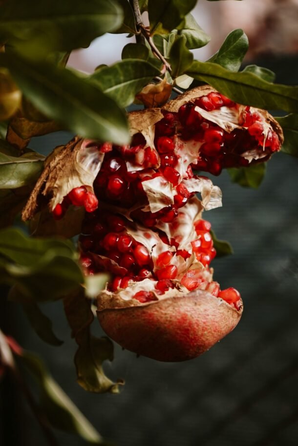 Bhagwa Pomegranates - Image 4